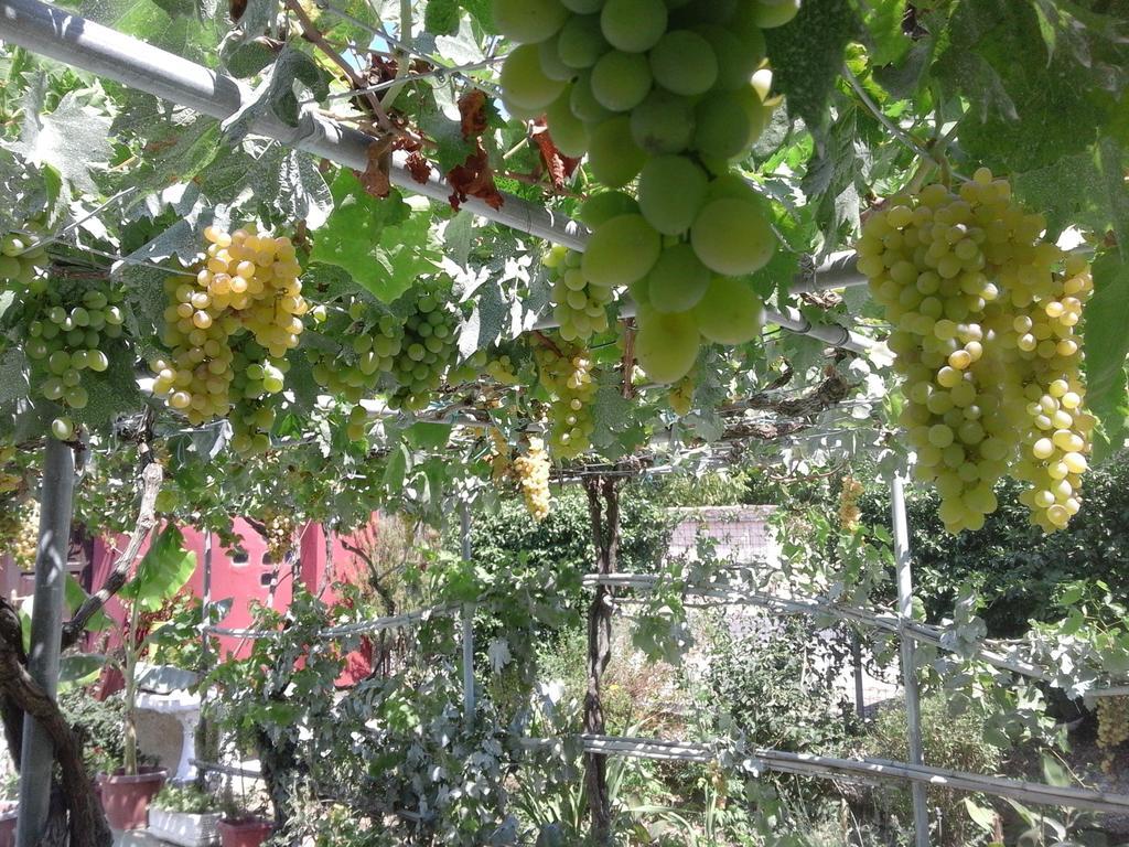 Malotu Resort Sinarádes المظهر الخارجي الصورة